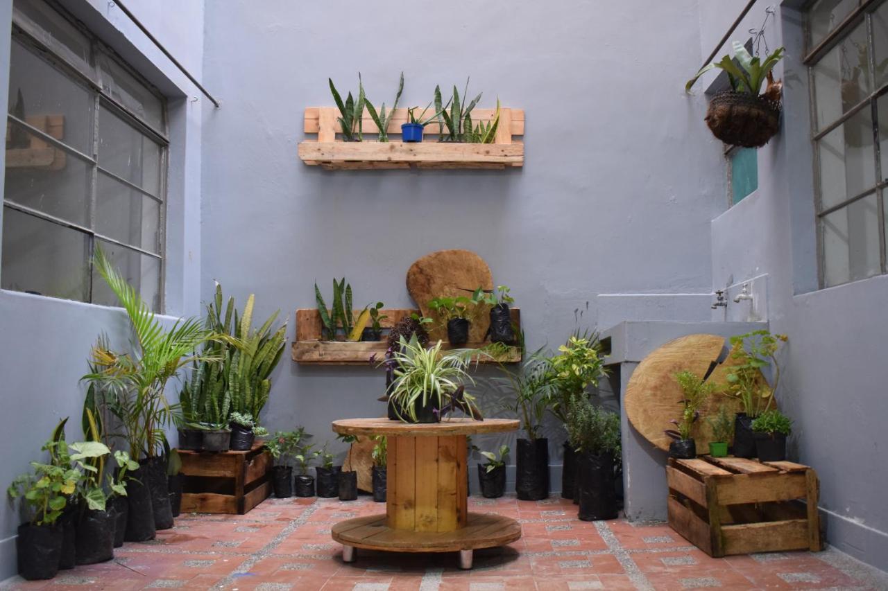 Serrania Hostal Medellín Eksteriør billede