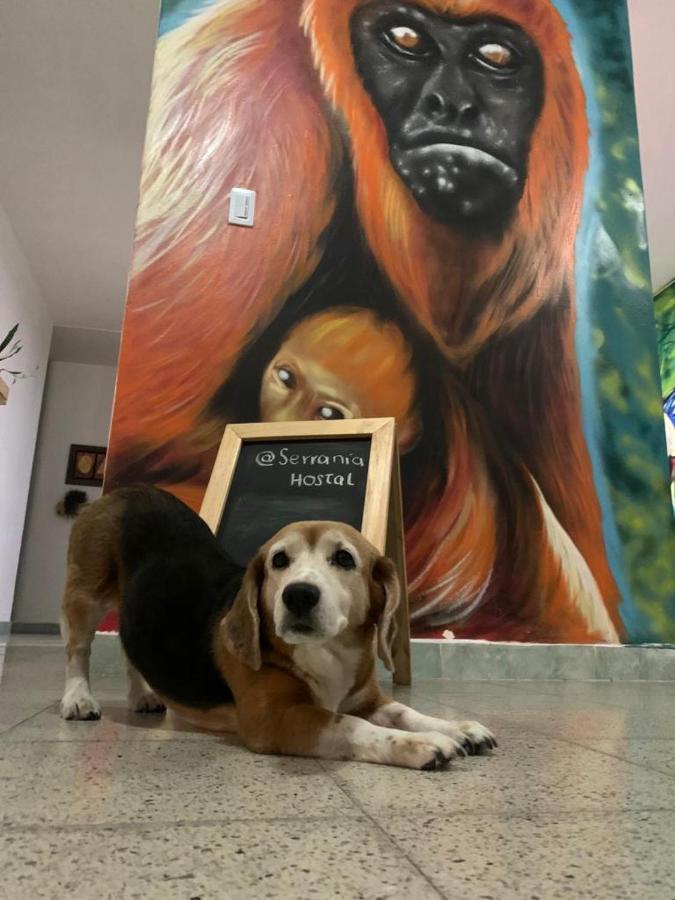 Serrania Hostal Medellín Eksteriør billede