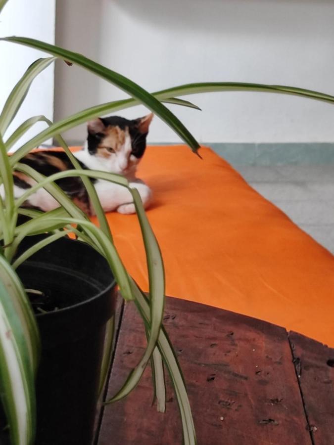 Serrania Hostal Medellín Eksteriør billede